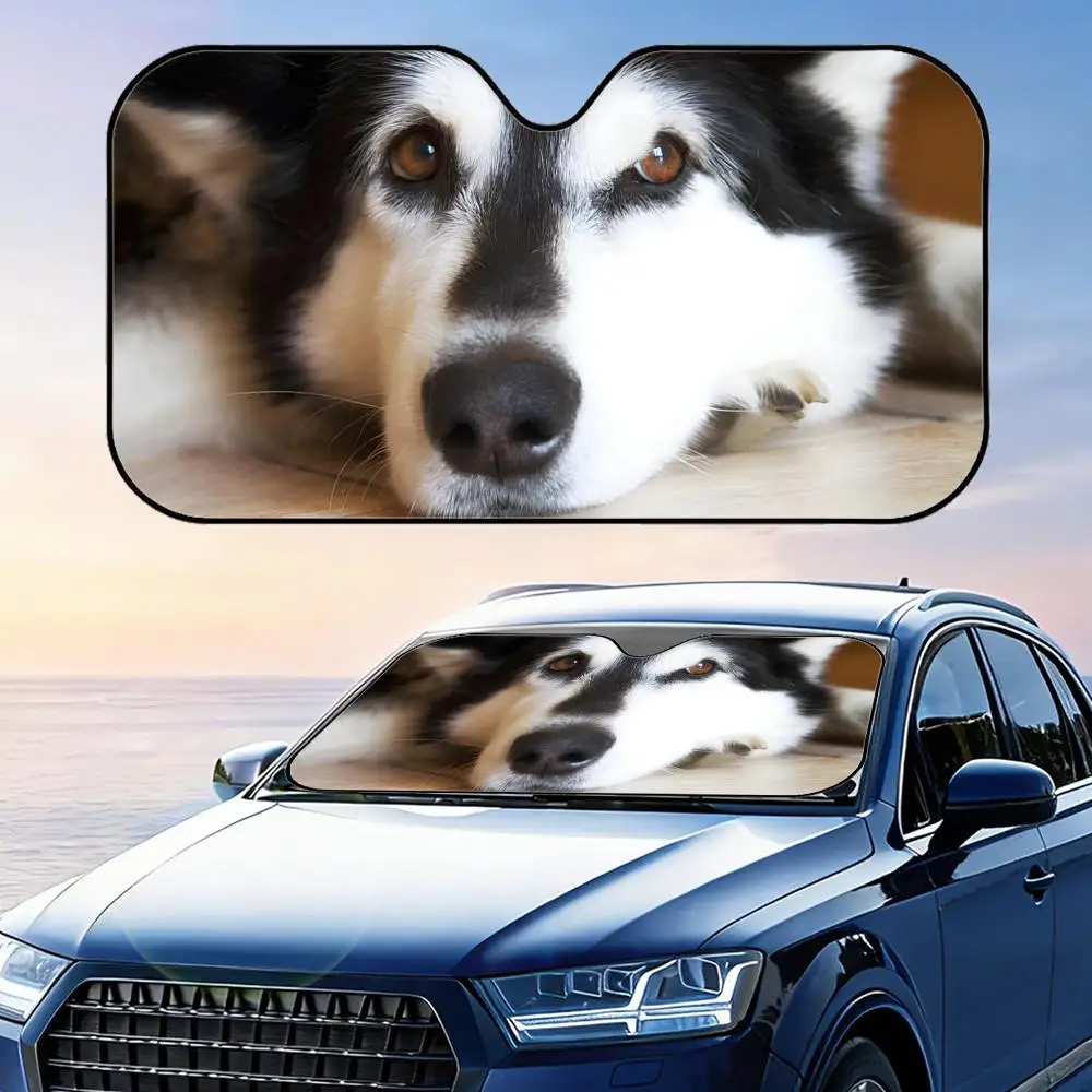 

Alaskan Malamute Sun Visor Reusable Aluminum Foil Windshield UV Protection Heat Insulation Cover Sun Visor Shade