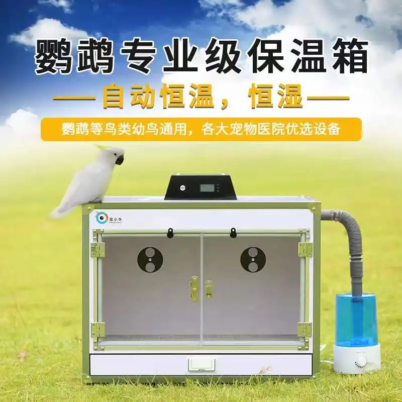 Parrot incubator intelligent constant temperature air heating PVC Xuanfeng tiger skin hand-raised young bird insulation climbing