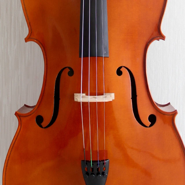 Spraying Shiny Varnish Handmade Solid Student Wholesale Price Cello for Beginners with Bag Bow Rosin
