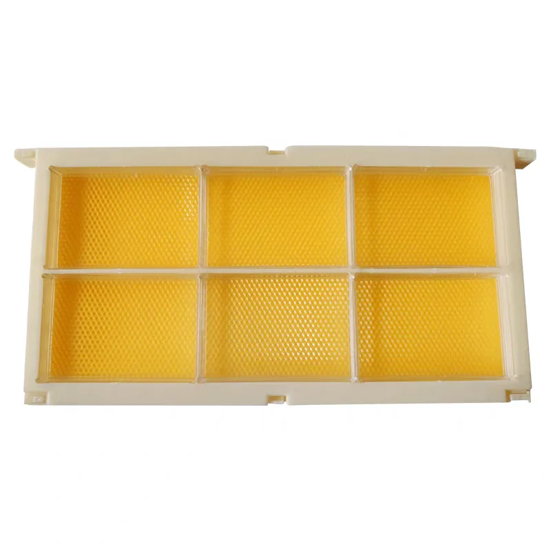 20 Sets Complete Honeycomb Honey Boxes with Frames 250g/500g Honeycomb Cassettes Honeycomb Honey Producing Kit Bee Tools