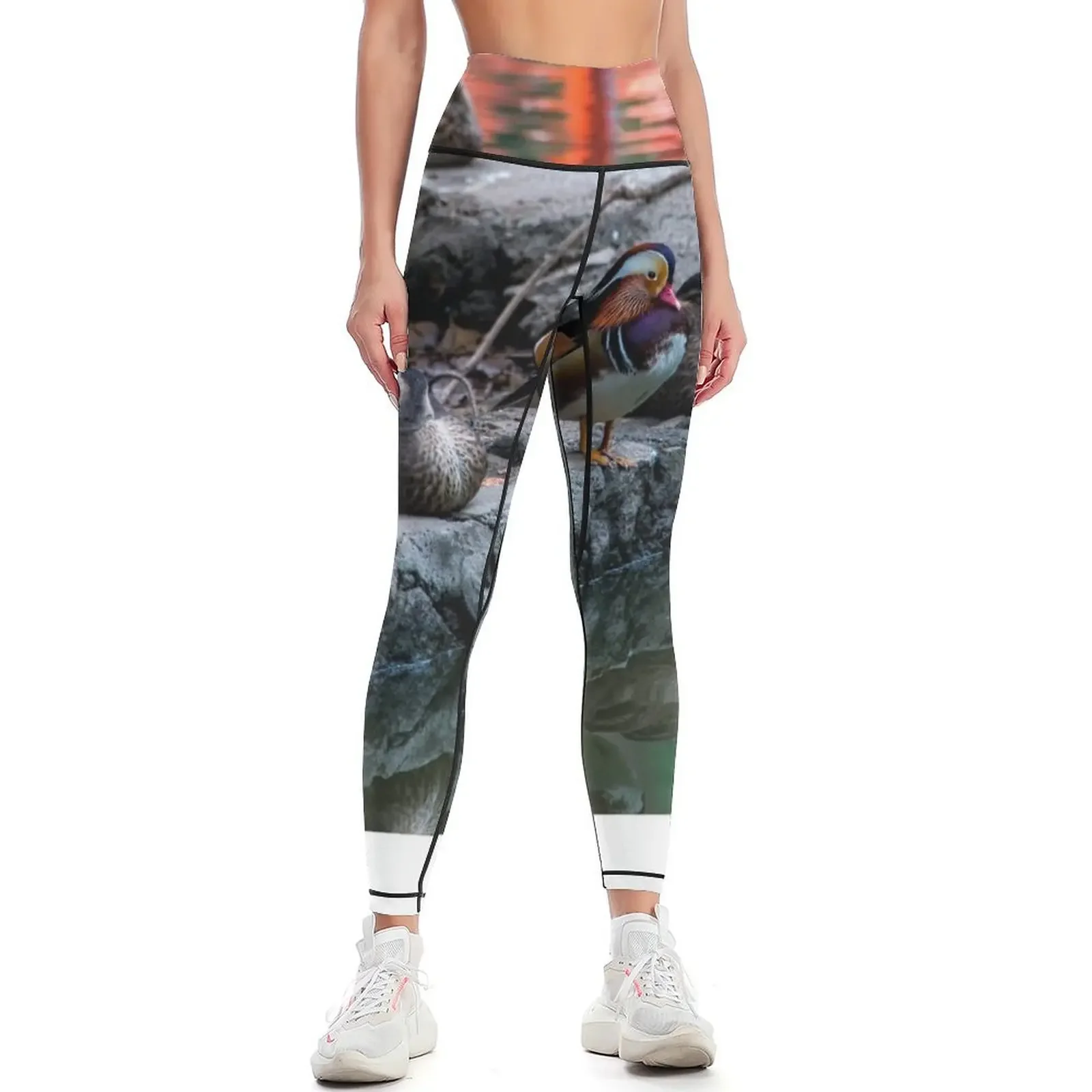 

Ducks Leggings exercise clothing for Women's gym Pants sport for fitness Womens Leggings