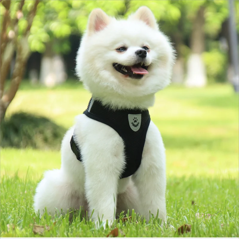 Pet Leash Undershirt Type Harness Breathable Reflective Adjustable Chest Harness Outdoor Dog Carrying Supplies