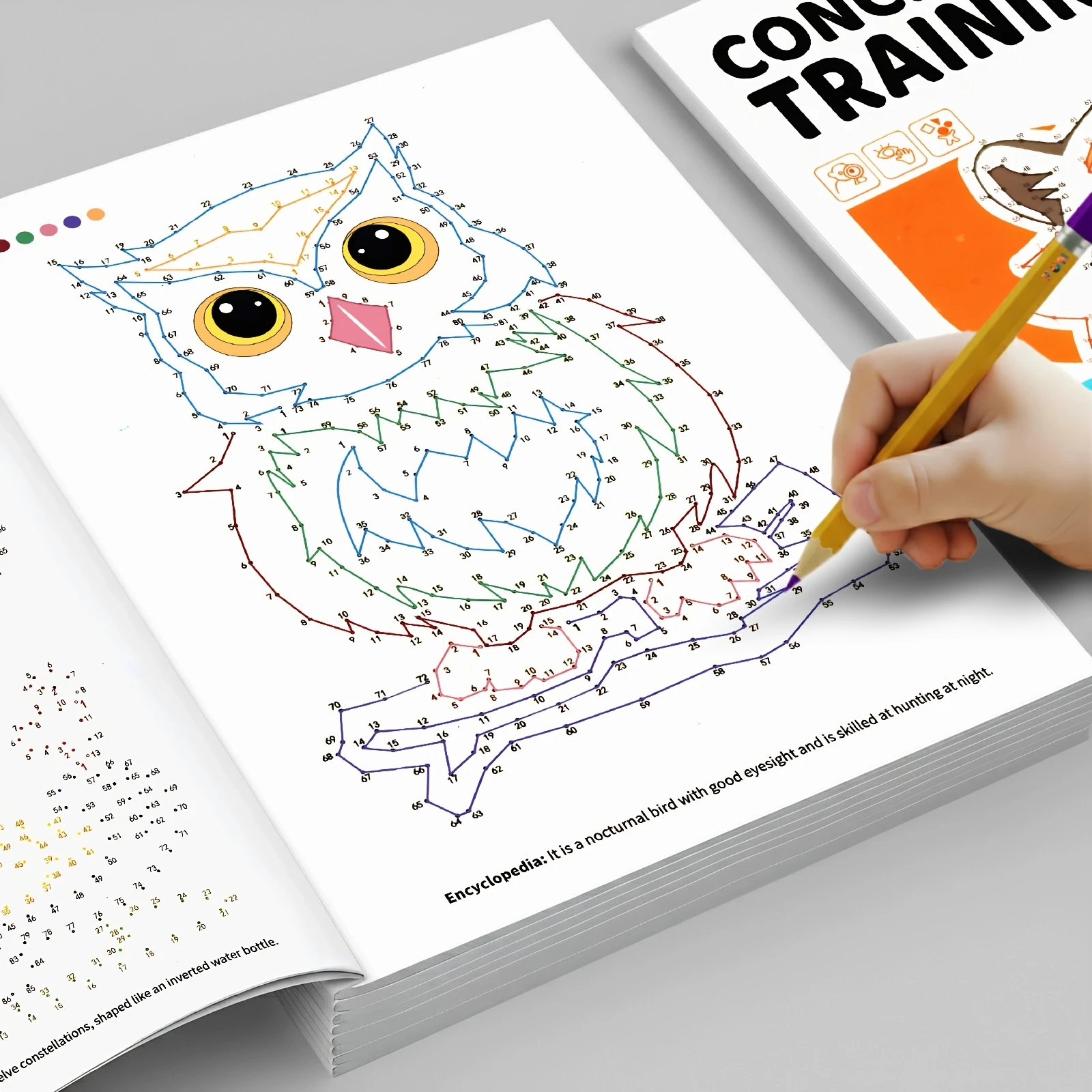 Children's online activity book, 2-in-1 connection and coloring, perfect for improving attention and fine motor skills