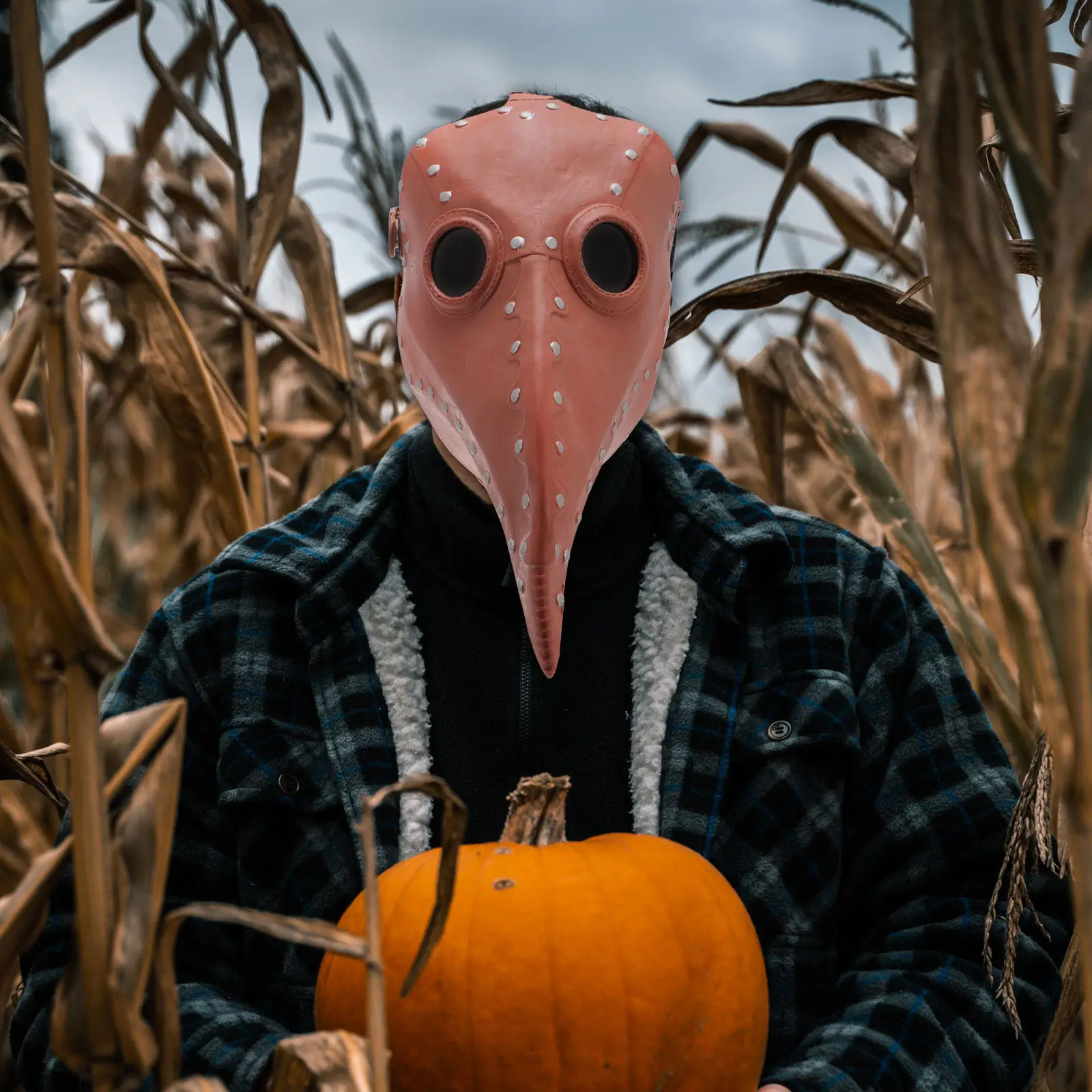 1Pcs Plague Bird Beak Mask Long Nose Steampunk Gothic Halloween Costume Prop for Adults Teens Masquerade Party