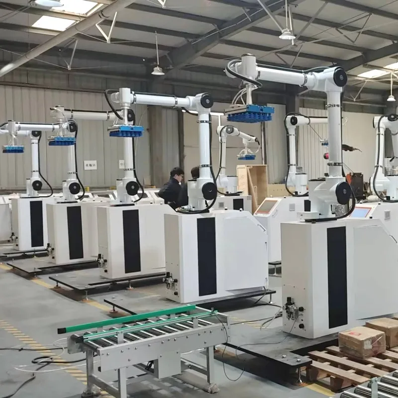 

High Efficiency 3Kw Automatic Collaborative Palletizing Robot PLC Motor Bearing Farm Use Pick Place 20Kg-50Kg Packing