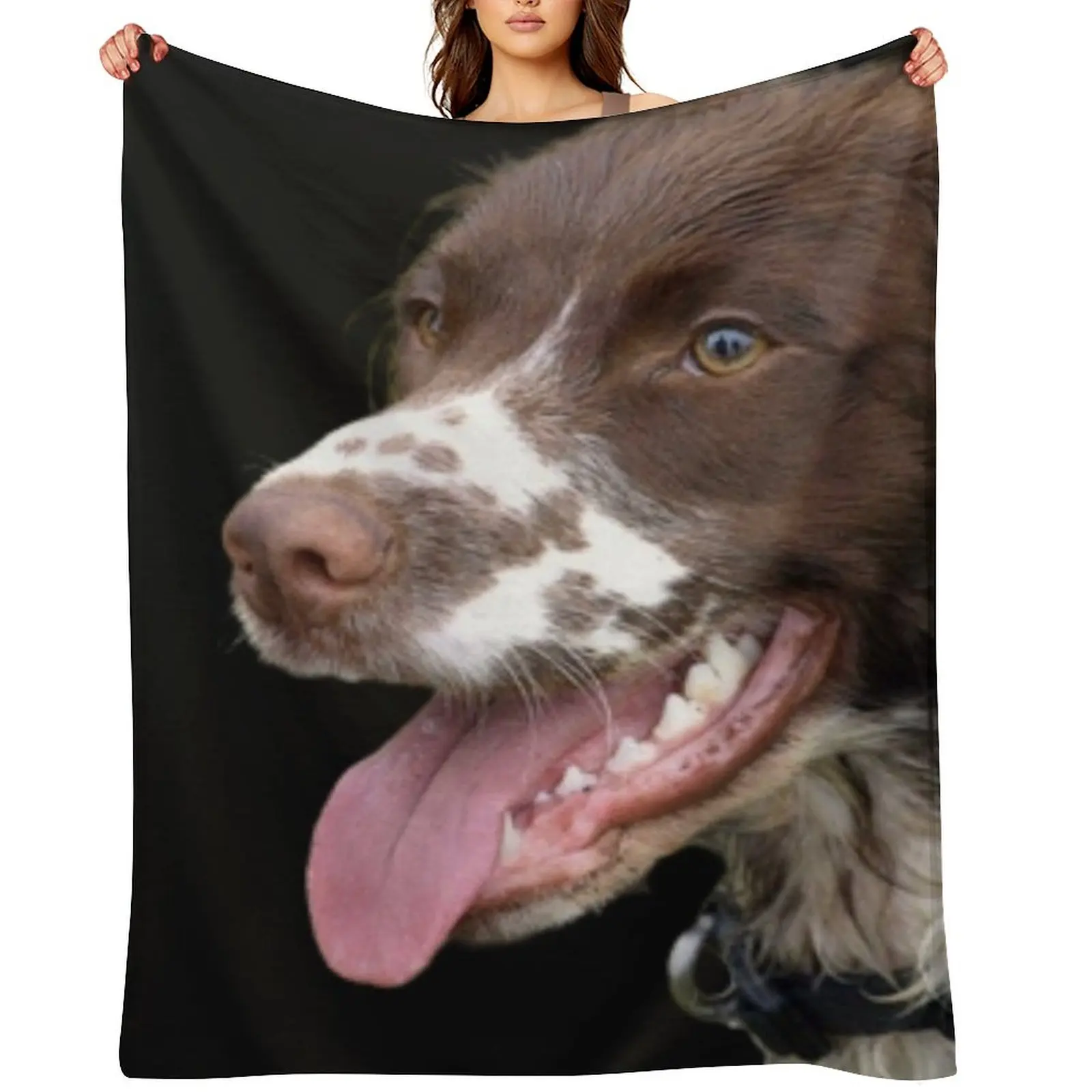 

Sprocker Spaniel Throw Blanket Hairy Decorative Throw Plaid Extra Large Throw Blankets