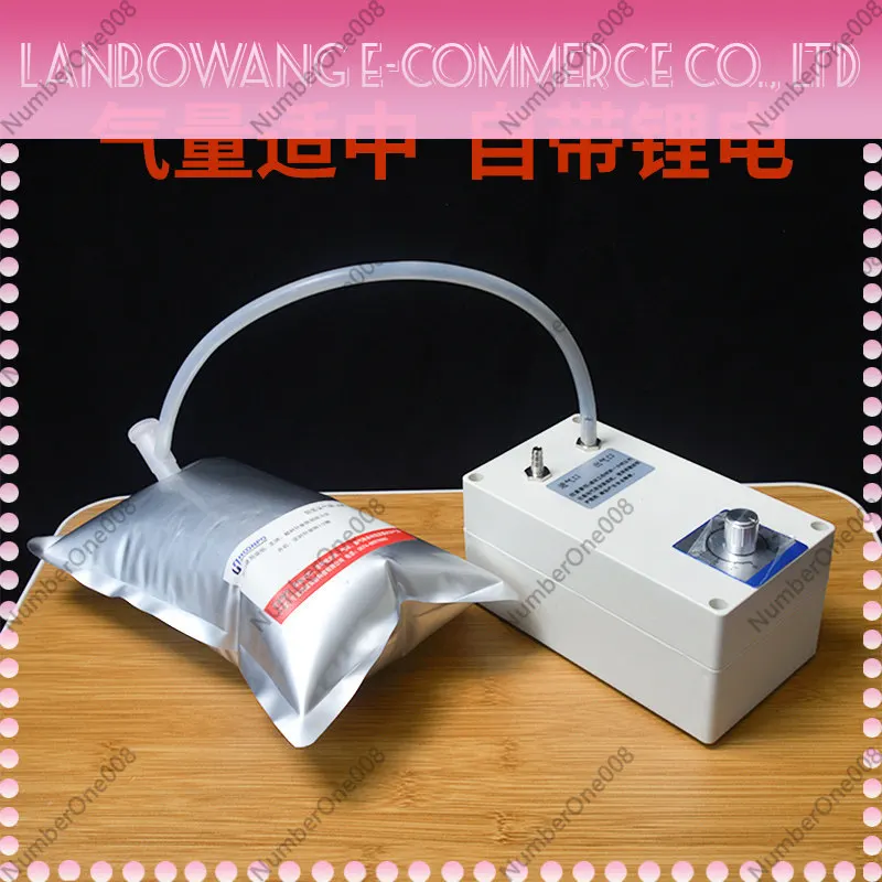 12V DC Mini Vacuum Pump Adjustable Positive Negative Pressure Air Pump Portable
