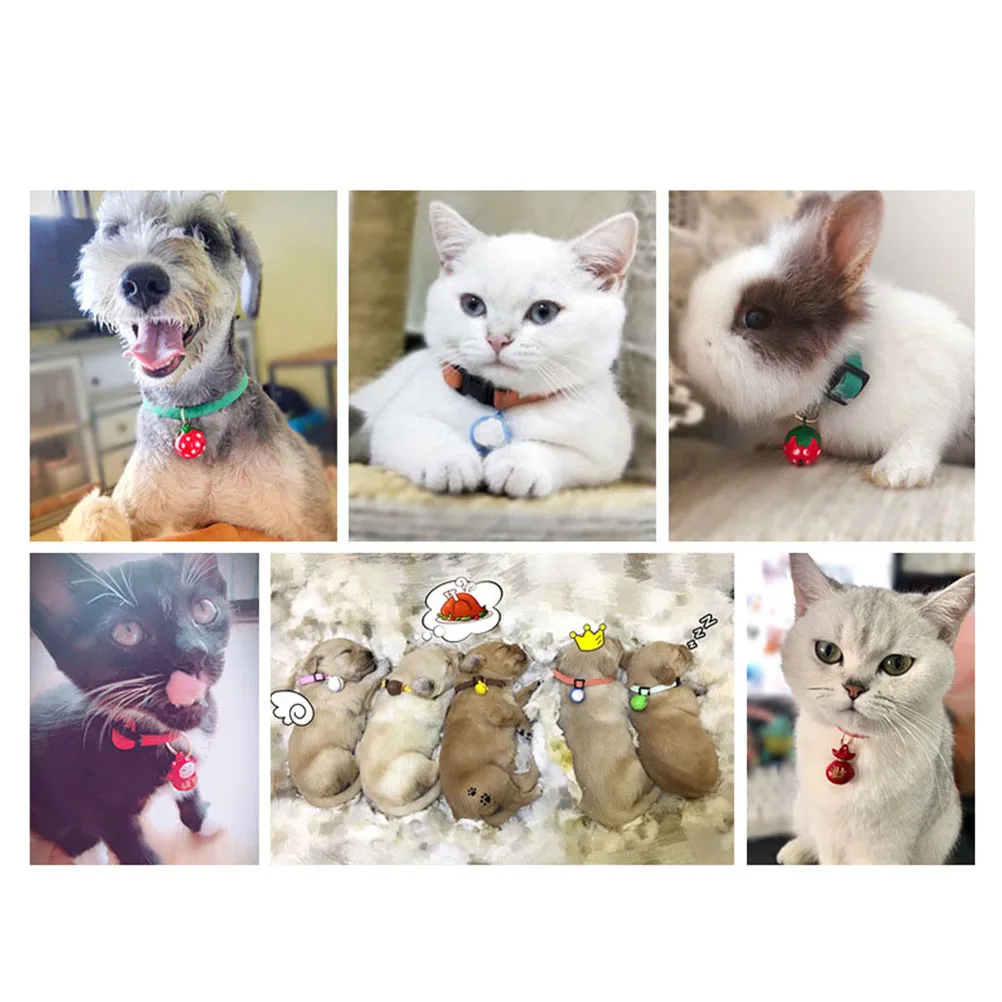 الفراولة جرس طوق قابل للتعديل للحيوانات الأليفة جرس طوق القط الكلب دائم المشي في الهواء الطلق ملحق مستلزمات الحيوانات الأليفة #1