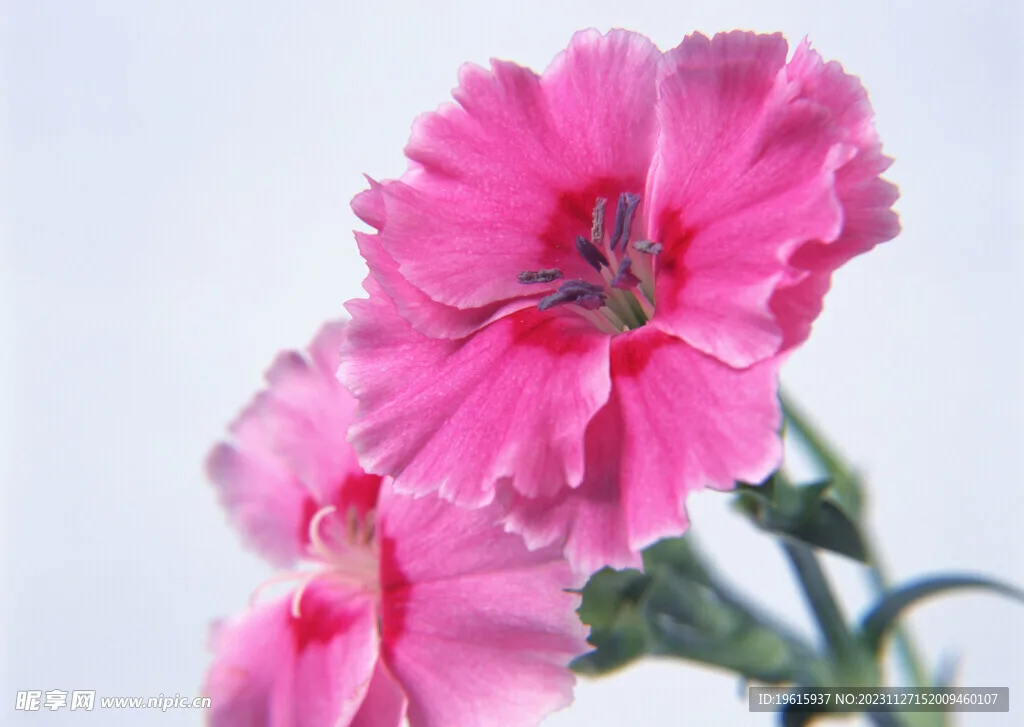 

Металлический корпус коробки передач из алюминиевого сплава 6061 для радиоуправляемой машины WLtoys 244016 1/24, запасные части