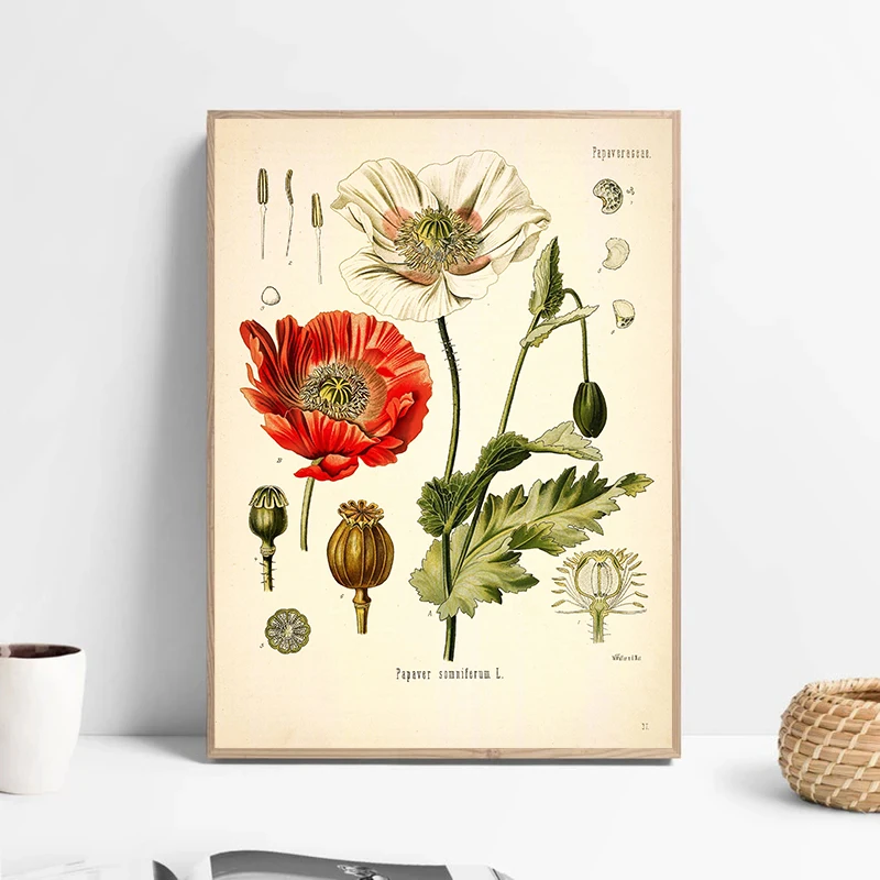 Wildflower Botanical Vintage Garden Posters and Prints Canvas Printing Wall Art Picture for Living Room Home Decor Gifts