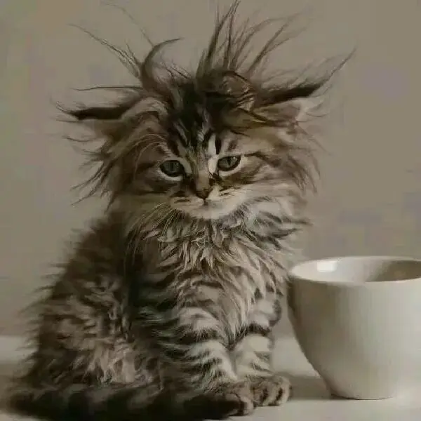 Getcheng Halo V2 Fl…