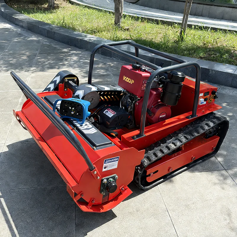 

Индивидуальная экономичная газонокосилка на гусеничном ходу с полным набором функций для домашних садов