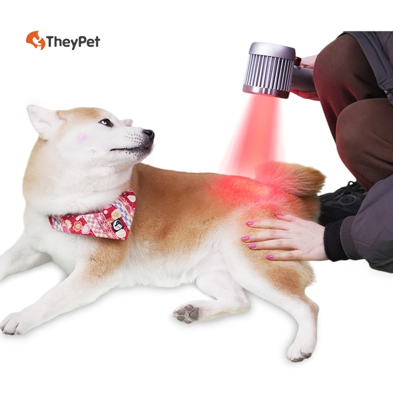 

Лазерная лошадь класса 4, портативное портативное лазерное терапевтическое устройство для облегчения боли в сухожилиях, лодыжках и копытах