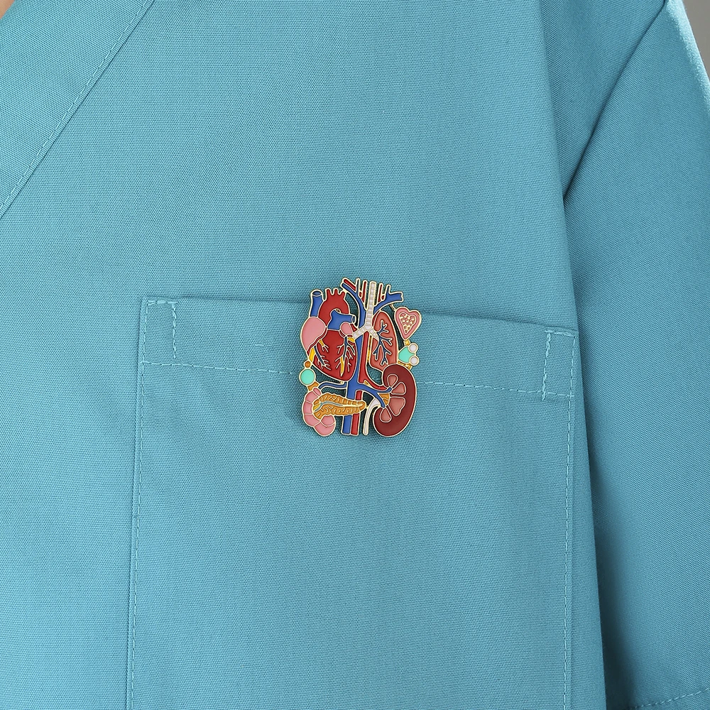 DCARZZ Original Kidney Liver Heart Lung Enamel Pin Badge Biology Anatomy Brooch Medical Jewelry for Doctor Nurse Biologist