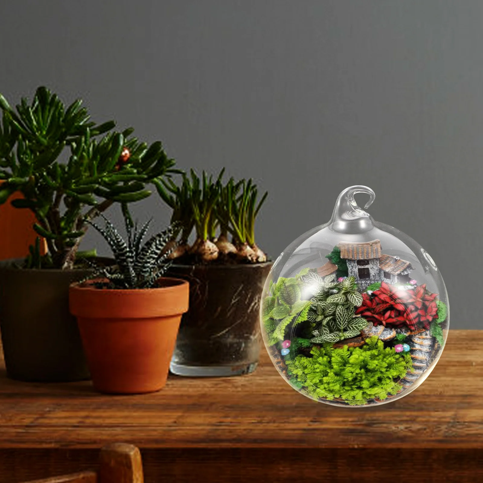 

2 Pcs Terrarium Globe Hanging Plant Live Decor Indoor Plants Wall Jars Air Container