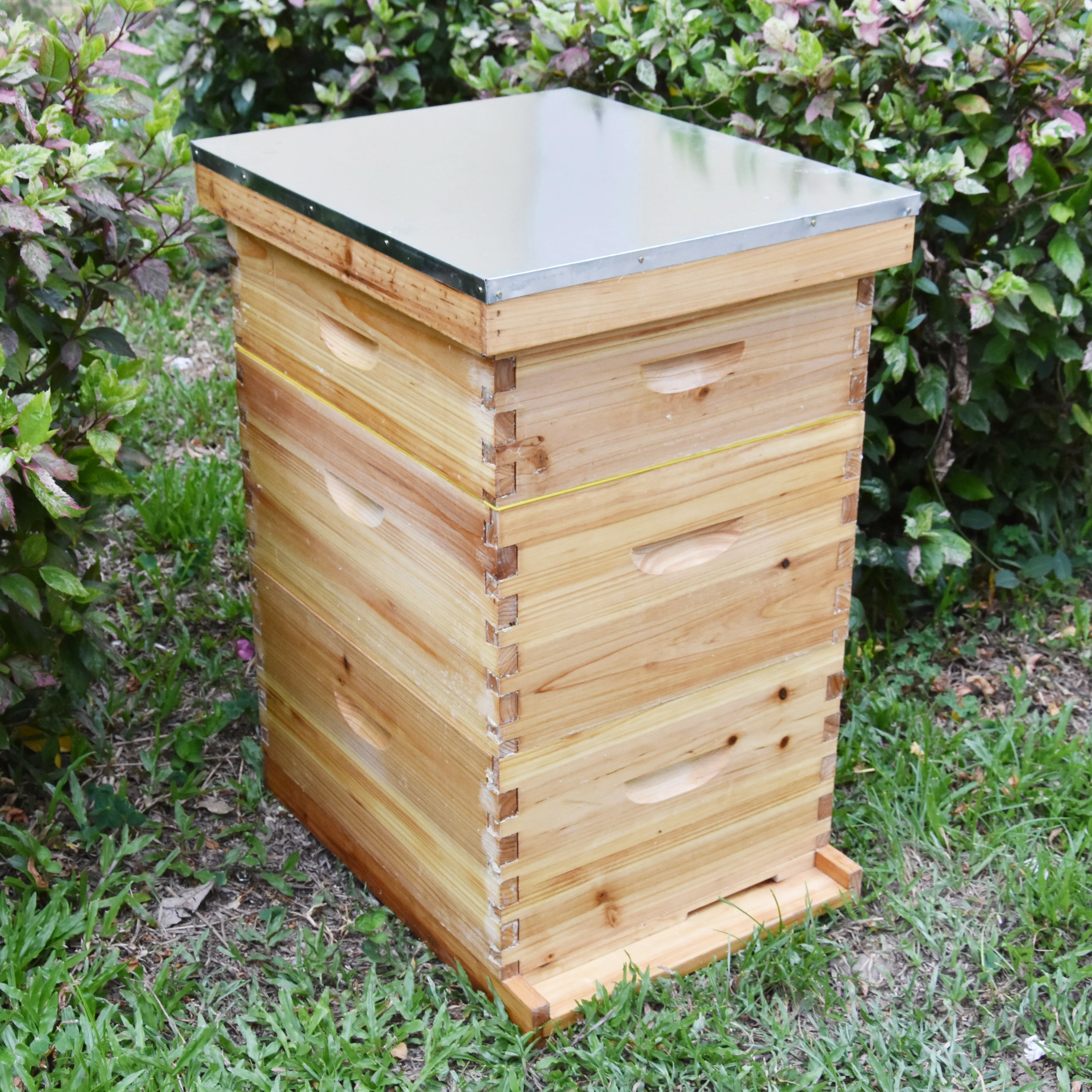 Benefitbee Langstroth Beehive Kit Bee Hives Complete Beekeeping Bee Hive Kit With 10 Frames