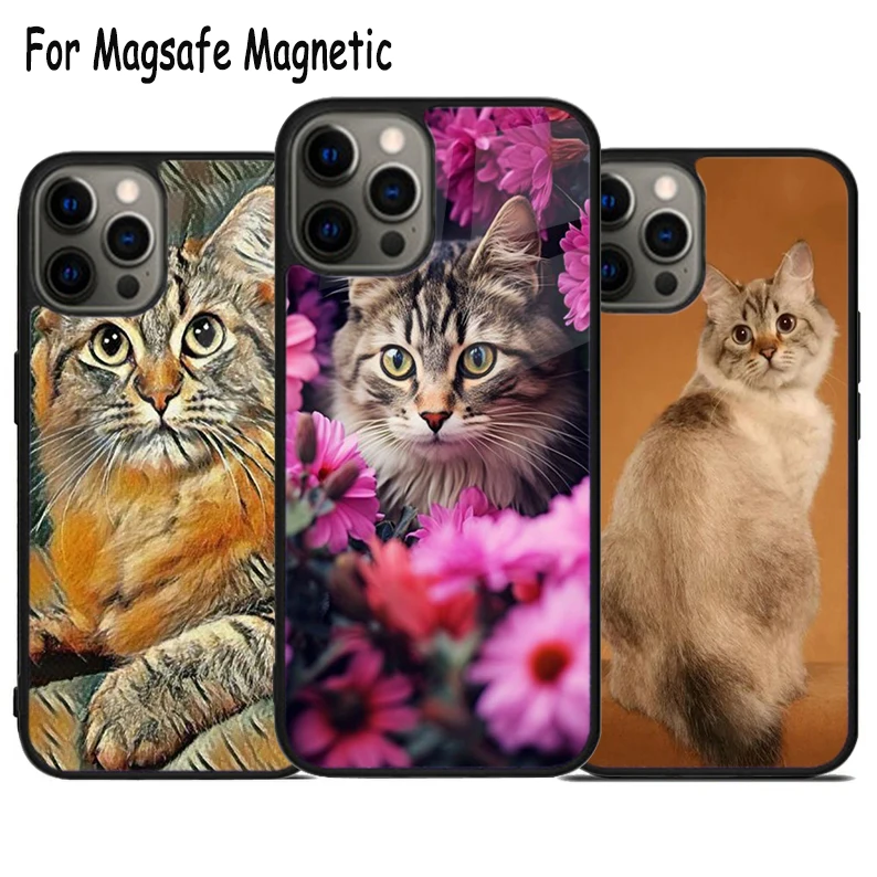 Cute American Bobtail Kitten Cat Wireless Magsafe Phone Case For iPhone 15 16 14 13 11 12 Pro Max Plus Magnetic Bumper Cover