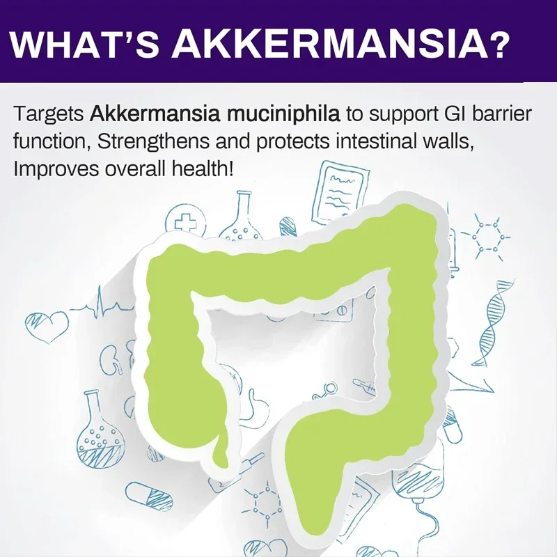 300 Billion AFU Akkermansia Muciniphila - Suitable for GLP-1, Probiotics for Digestion, Intestines, Immunity, and Overall Health