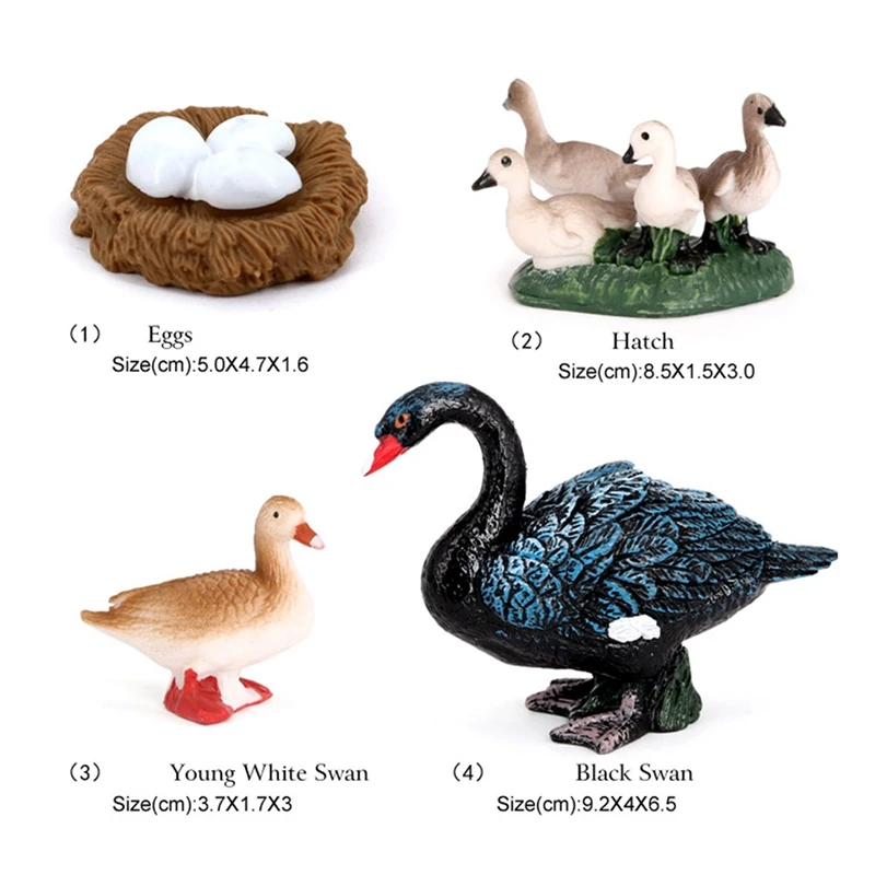 4 PCS Goose Farm Animal Life Cycle Model Simulation Animal Growth Cycle Figure Figurine Set Kid Toys Gift