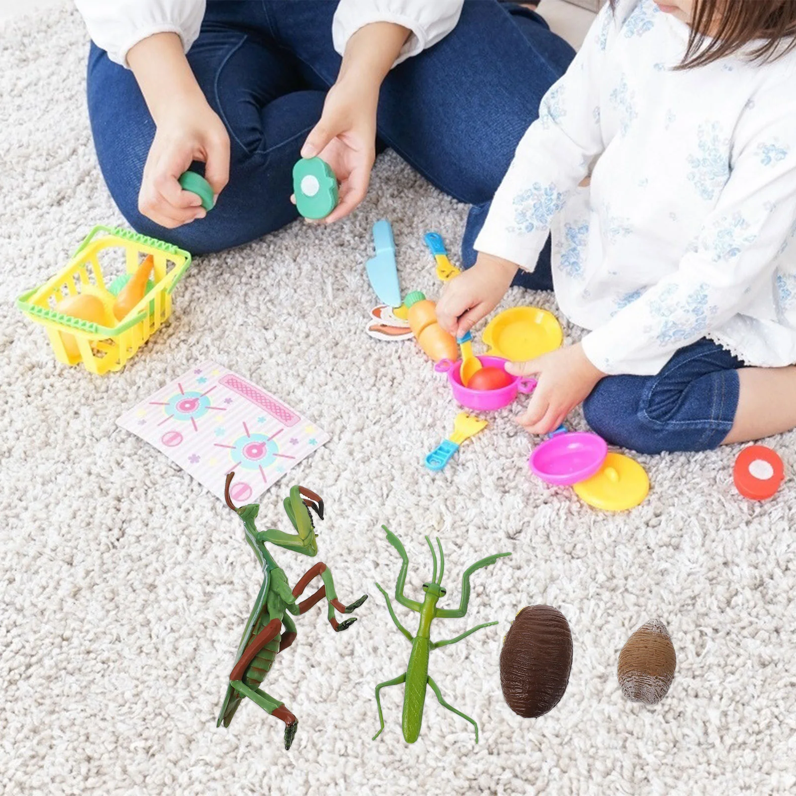 Cognitief model van het leven Kinderspeelgoed Kinderspeelgoed Educatief Bidsprinkhaan Groei Plastic Cyclus Beeldje Octopus