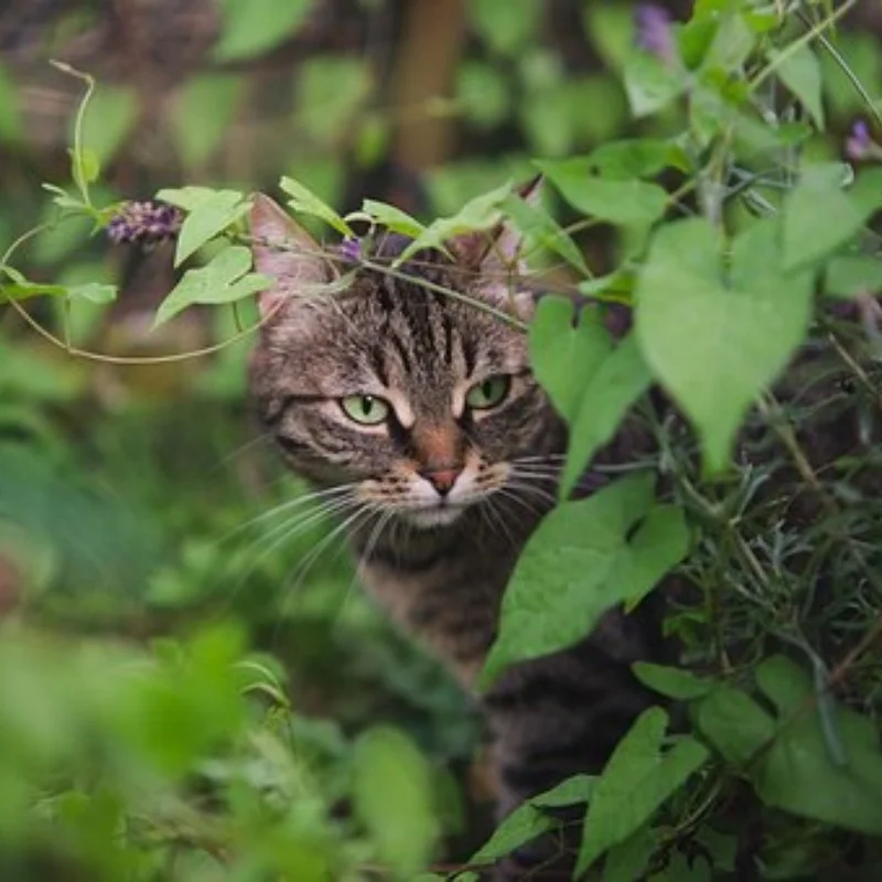 

4 шт., 118 мм, 1,9 дюйма, металлический обод колеса с бисером, набор резиновых шин для 1/10 RC гусеничного автомобиля Traxxas TRX4 RC4WD D90 D110 Axial SCX10 MST