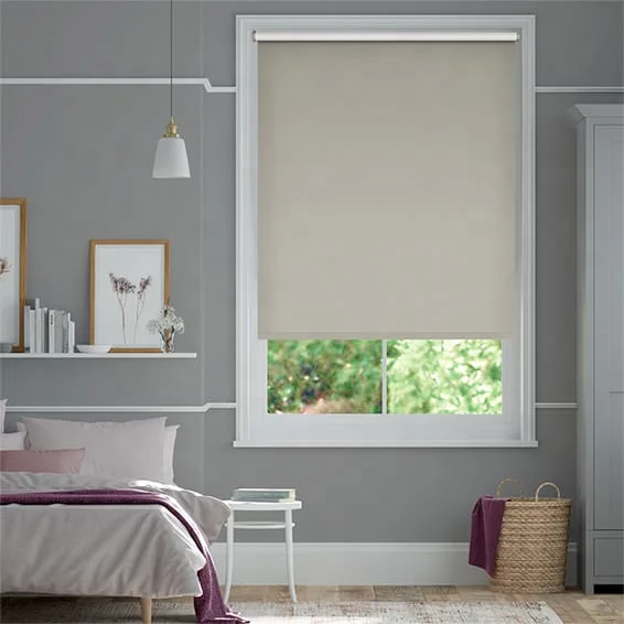 2026 High quality new design professional customized manual spring control day and night blackout roller blinds for home
