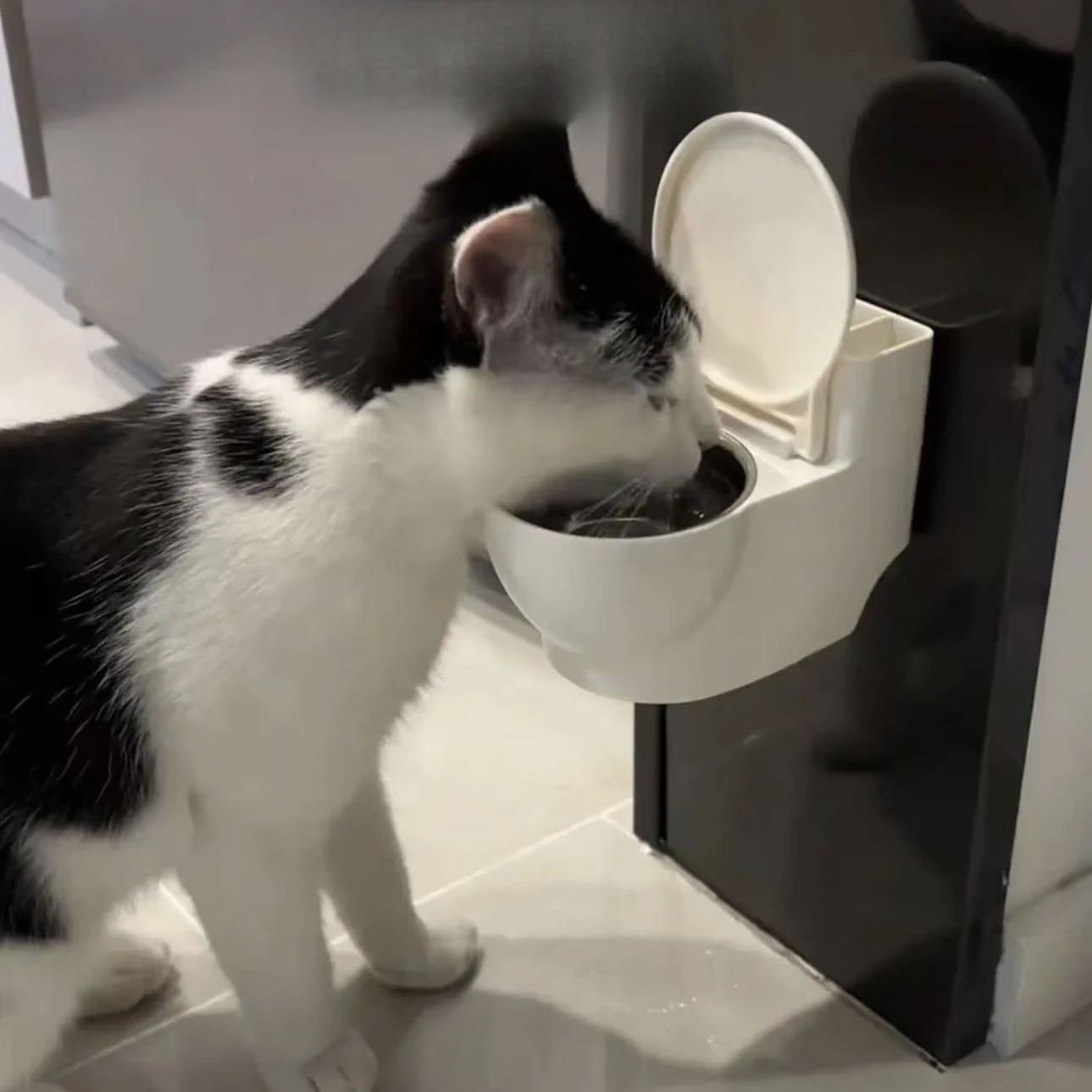 Raised Pet Bowl Anti Spill Dispenser Toilet Shaped Waterer with Stainless Steel Insert Elevated Drinking Dish with Non Slip Base