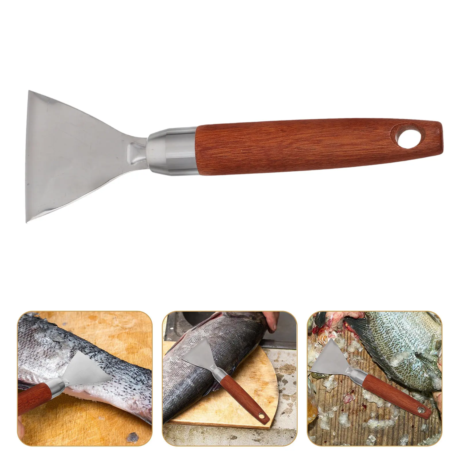 Professional 304 Stainless Steel Fish Scaler Ergonomic Design Sharp Blades for Gentle Scale Removal Non-Slip Comfort Handle