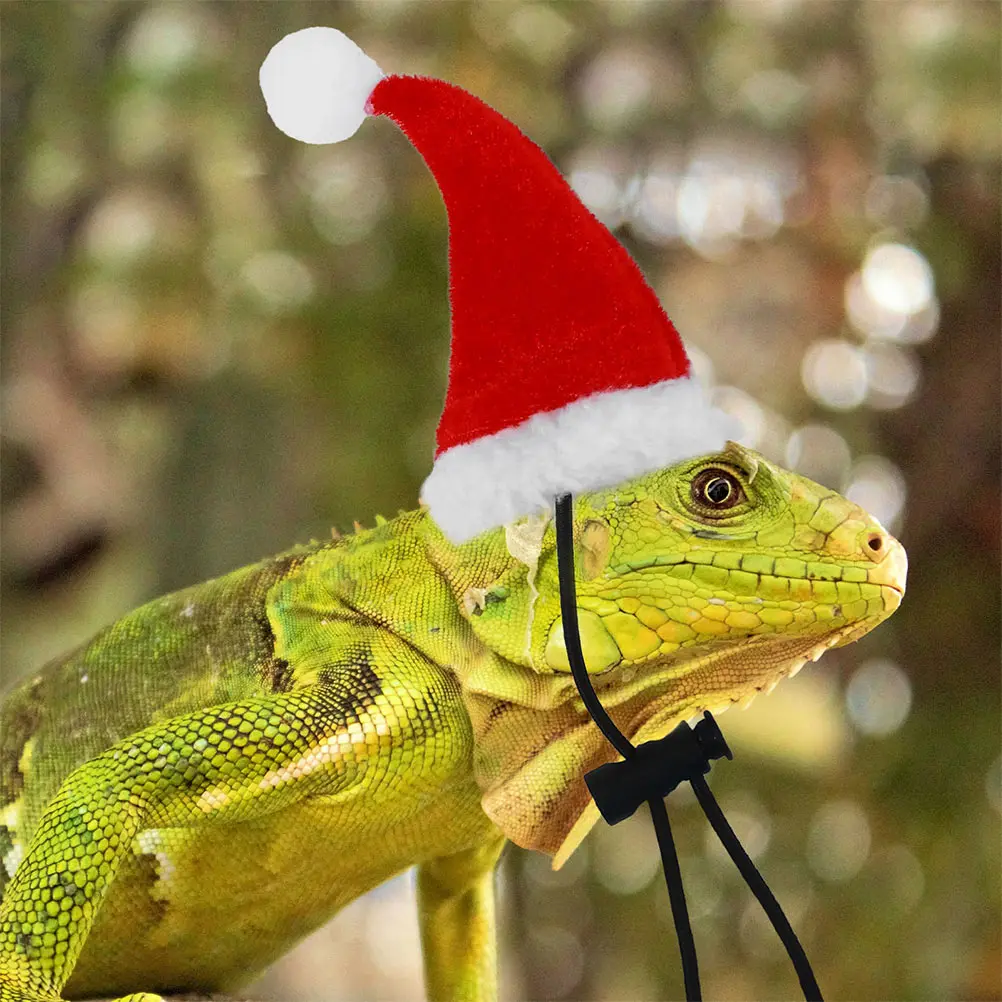 

1 set Lizard Pet Leash Set Durable Practical Xmas Color Design Reptile Supplies Gecko Accessories Material Dog Hat Style