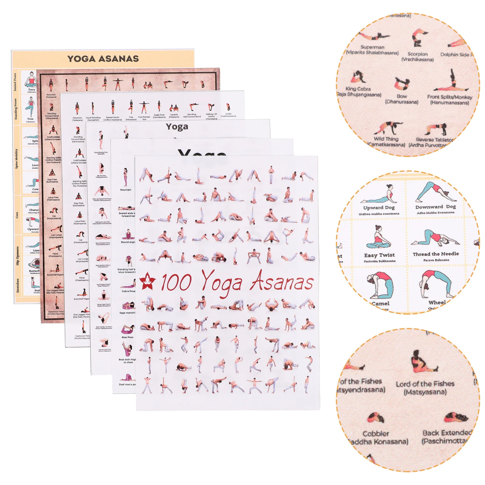 6 Pcs Yoga Poster Office Fitness for Seniors Chart Canvas Book Poses Picture