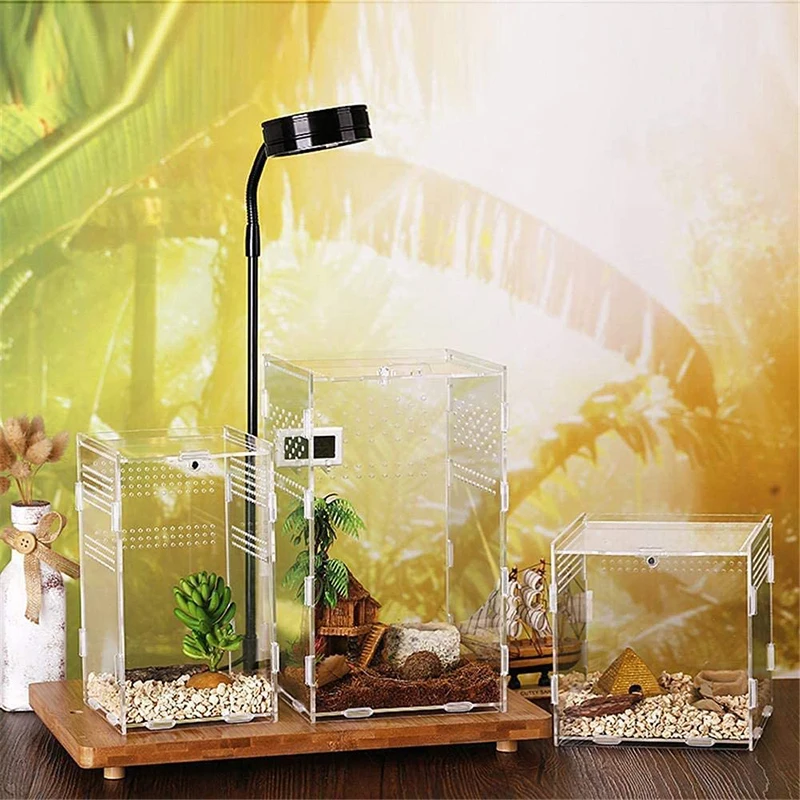 Reptile Terrarium Breeding Box Acrylic Case Nano Arboreal Tarantula Enclosure Spider Scorpion Bearded Dragon Habitat