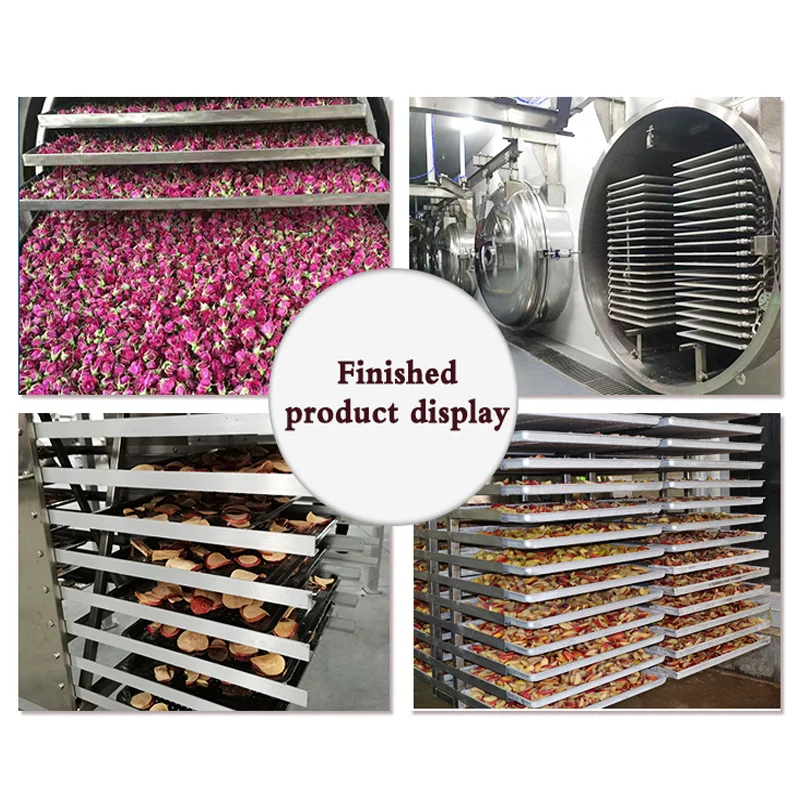 Lyophilizer Lab Scale Freeze Dryer, Replaceable Trays for Different Volume Biological Sample Drying