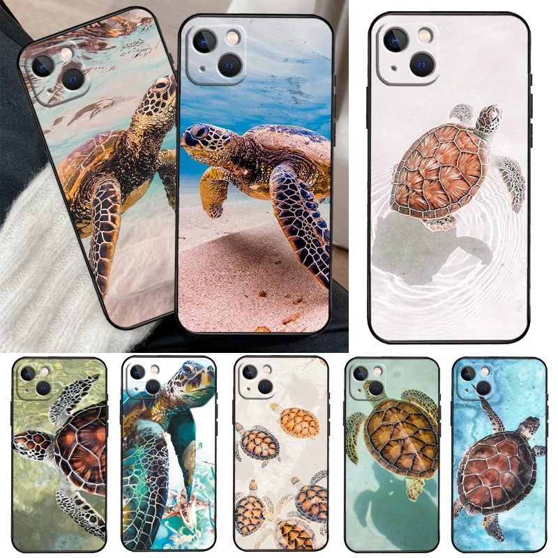 Warming Green Turtl… - image