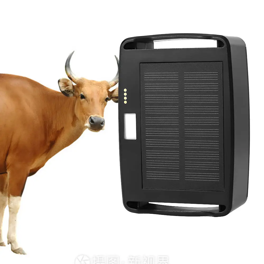 Waterproof 4G GPS Tracker with Solar Charging 15000mAh Battery for Large Dogs  Livestock Wildlife