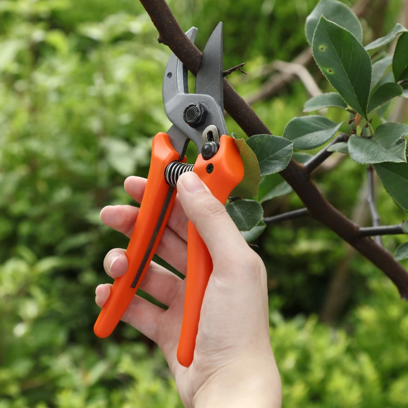 Pruner Orchard and The Garden Hand Tools Bonsai For Scissors Gardening Machine Shears Brush Cutter Professional  Chopper Pruning