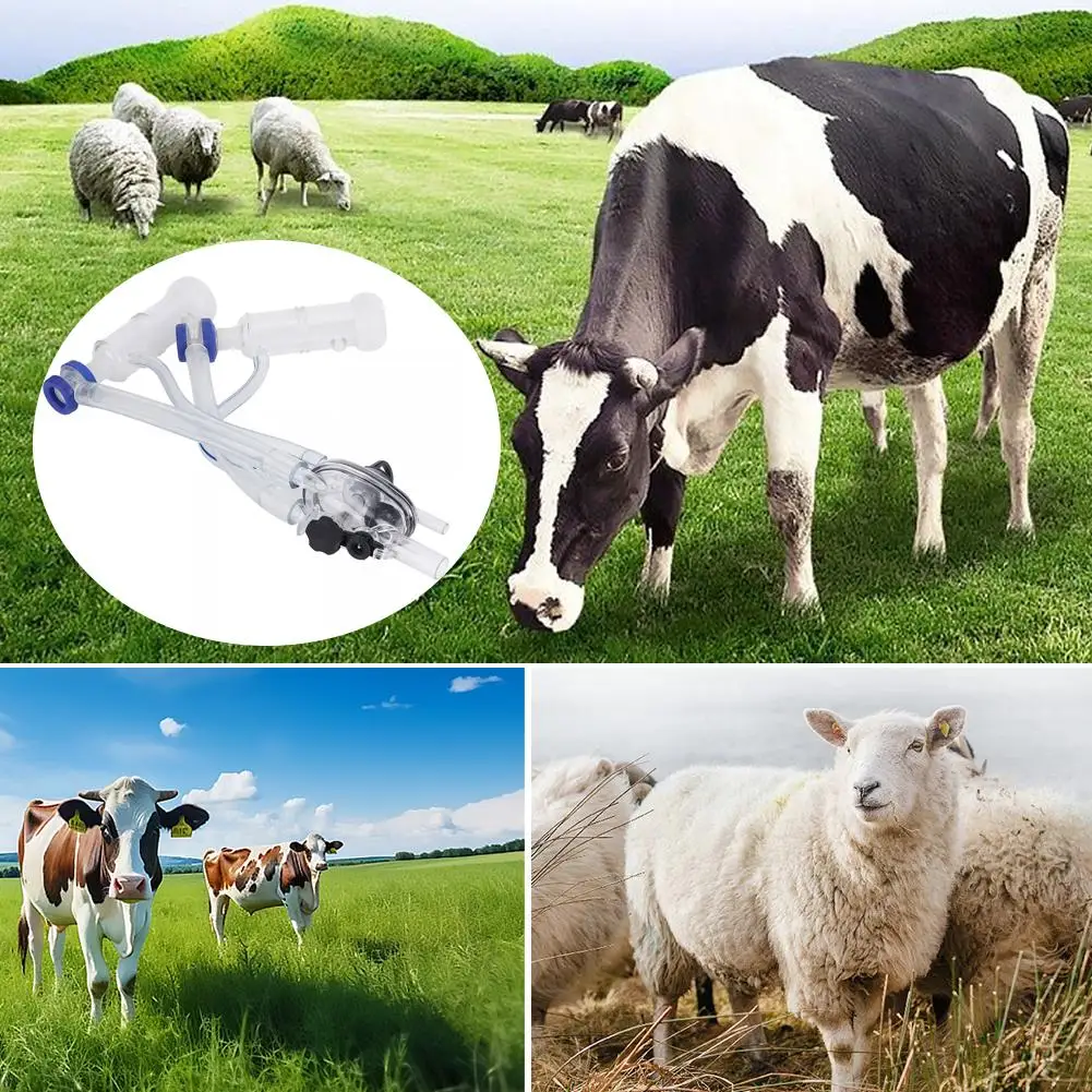 Milking Machine Accessories Sheep Cow Milk Collector Leather Cup Rubber One-piece Silicone Cup Harmless Milking I0K7