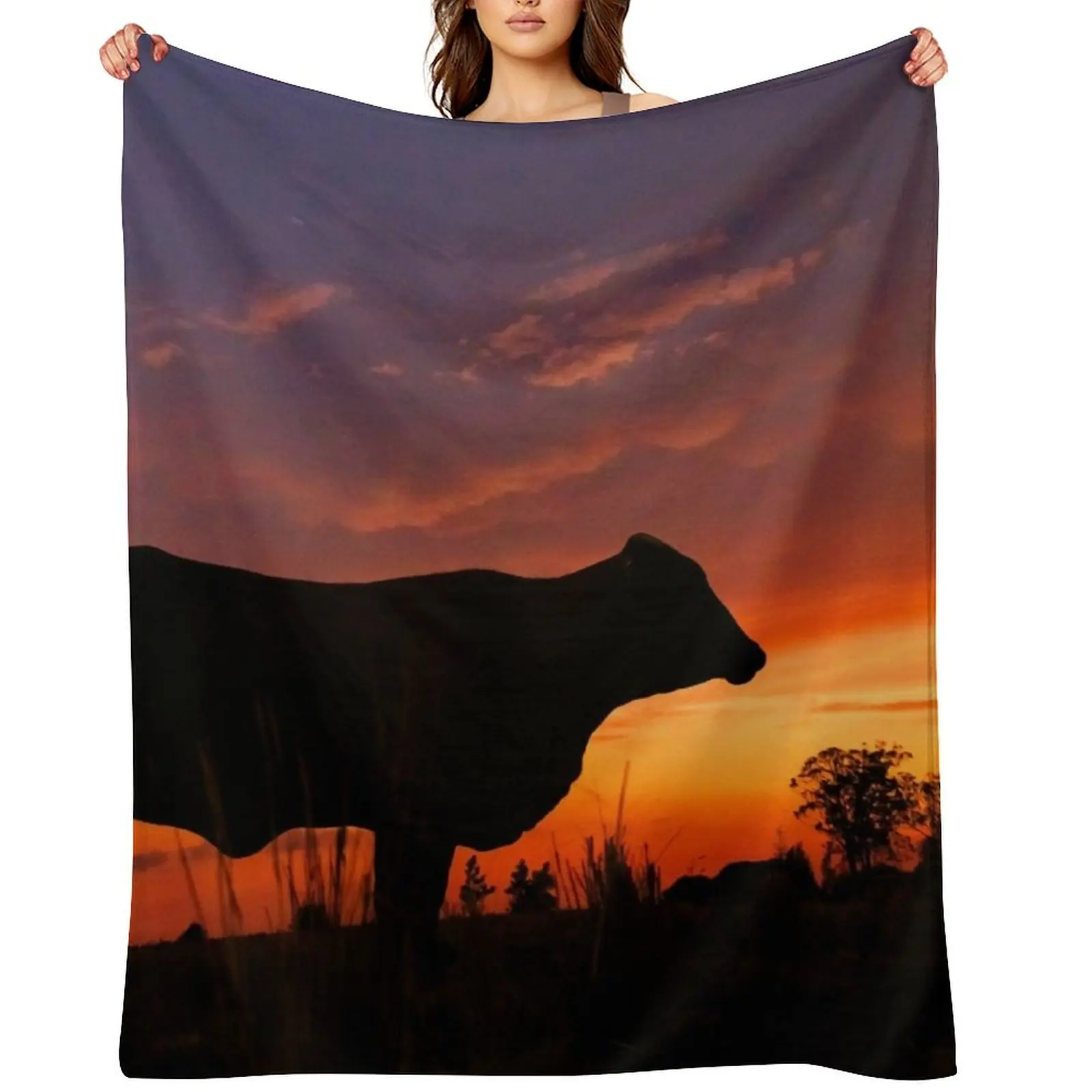 

Droughtmaster Sky Throw Blanket christmas decoration Thermals For Travel Soft Plaid blankets and throws Blankets