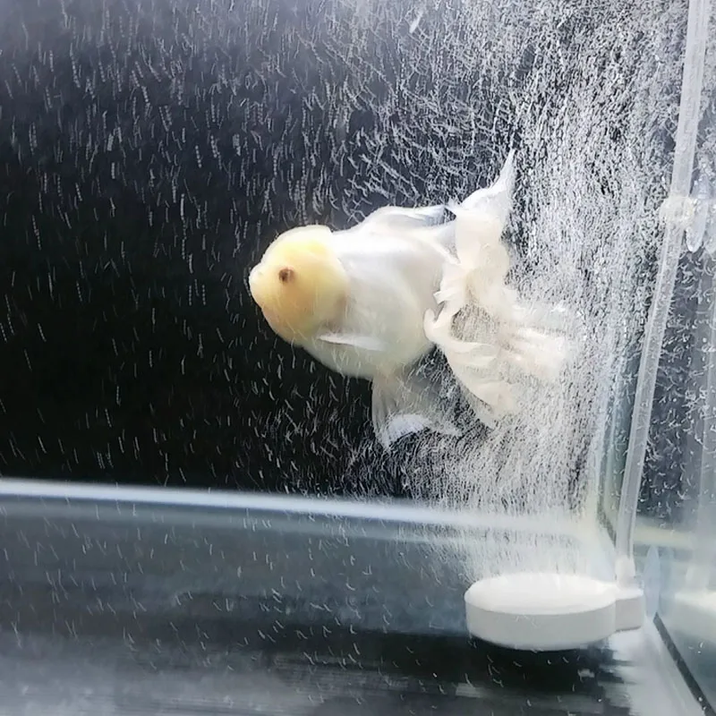 Luftstein-Sauerstoffbelüfter für Aquarien, Scheiben-Blasendiffusor, Luftblasenpumpe, Hydroponik-Sauerstoffplatte, Mini-Zubehör, Nano-Scheibe – Detail 8