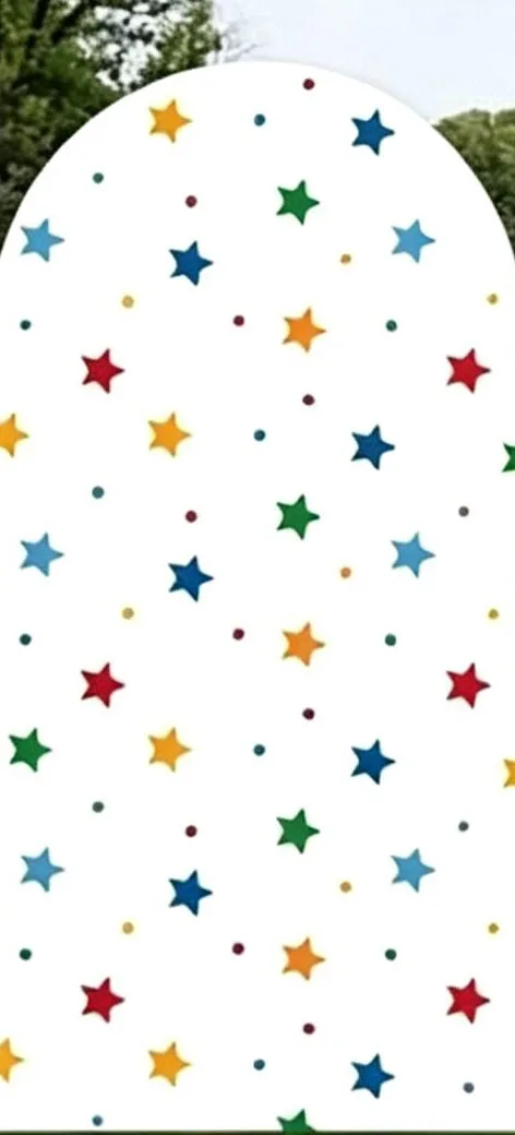 Custom 2-Side One Silly Goose Baby Shower Arch Backdrop Cover Rainbow Stripe Colorful Star Birthday Party Decor Backdrop Photo