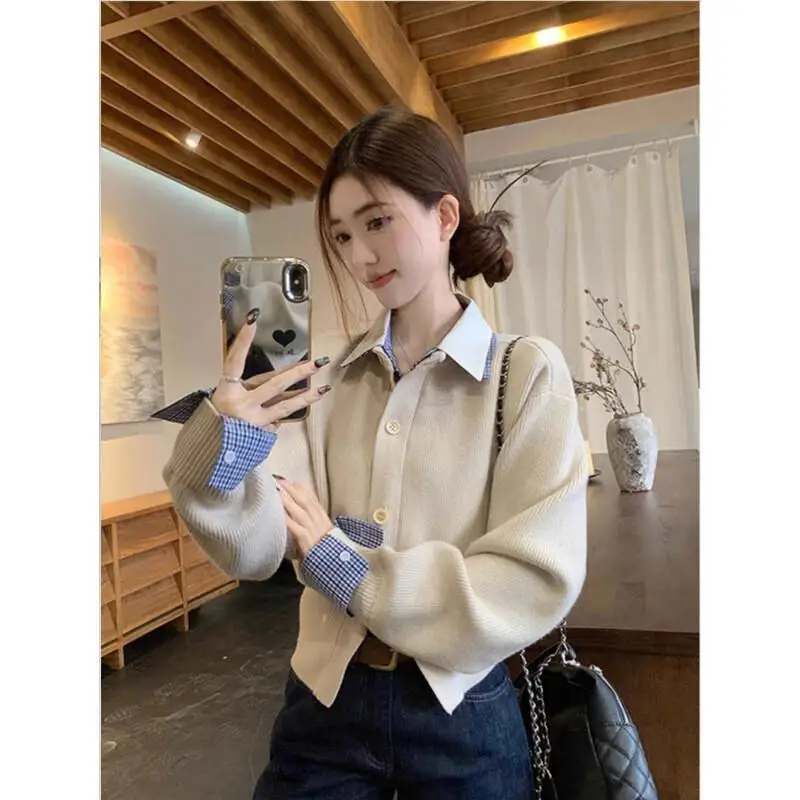 

Поддельный вязаный кардиган из двух предметов, свитер, женская одежда, зимние топы 2025 года, женская одежда, трикотаж, популярный в корейском стиле