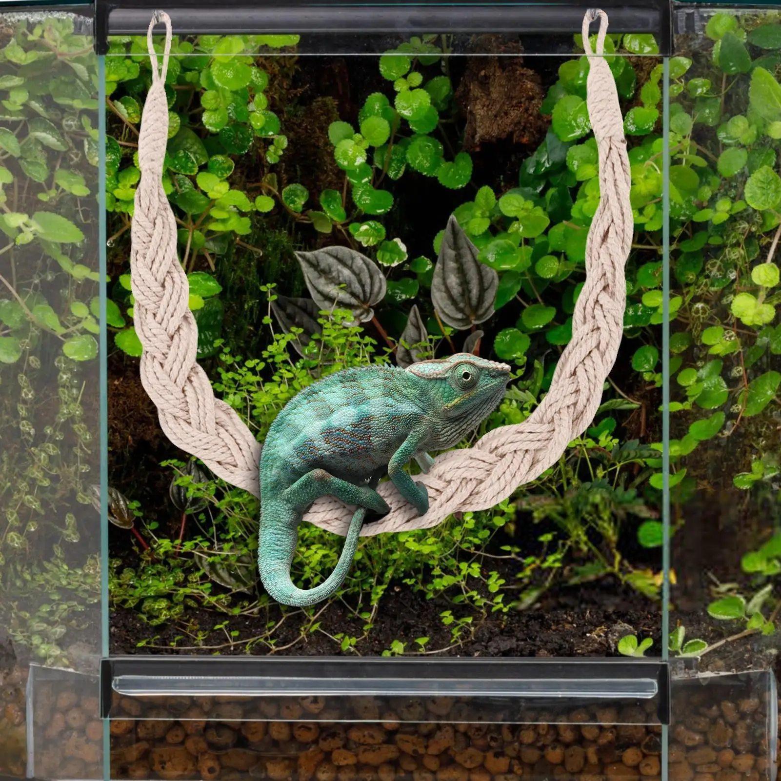 Thumbnail 2 - #22 Pet Habitat Decors List of Top Picks