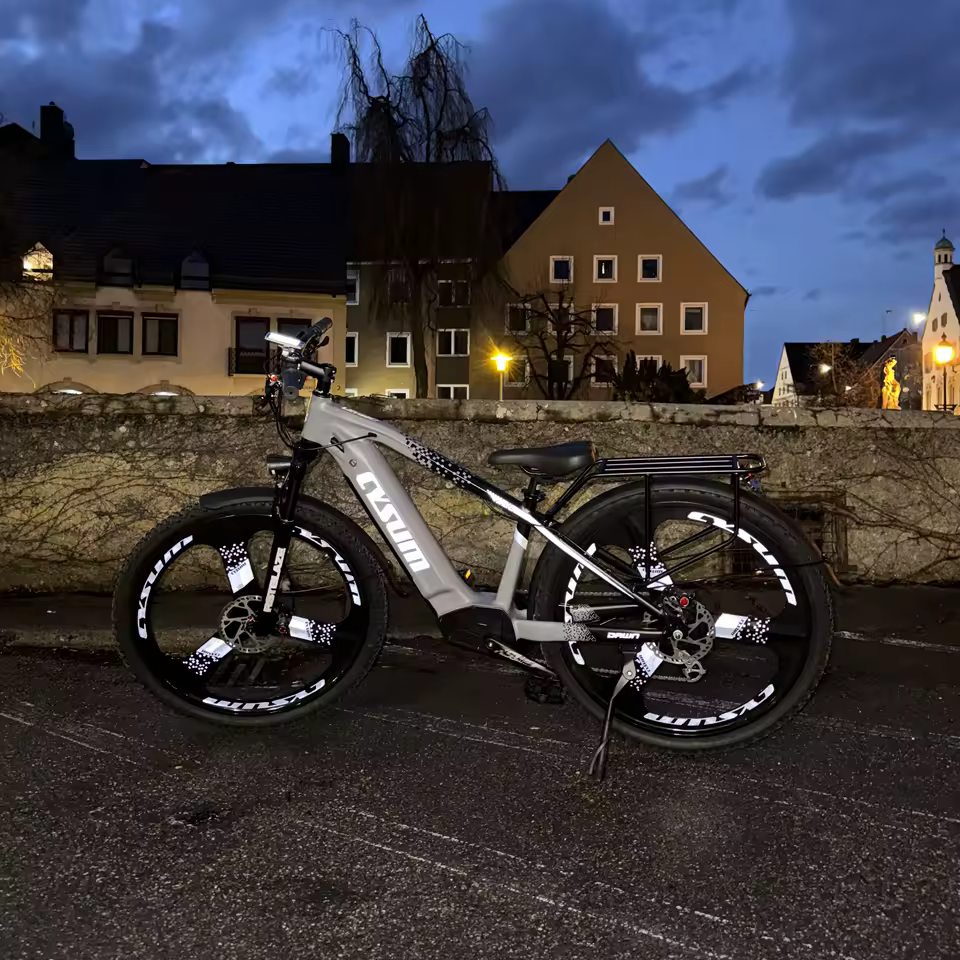 29인치 e-MTB 이미지