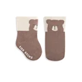 Brown Bear