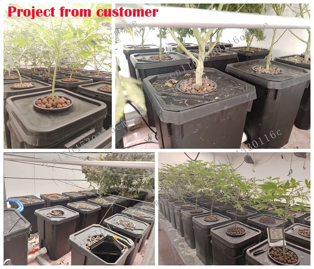 Hydroponic growth system with top drip kit, with air pump, air stone and water level unit