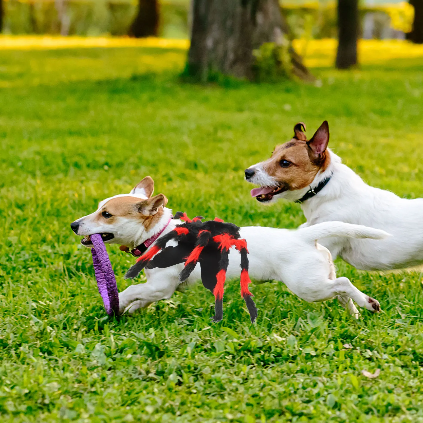 

Cat and Dog Clothing Novel Pet Spider Costume for Cats Cosplay Dressing Clothes Costumes Cotton