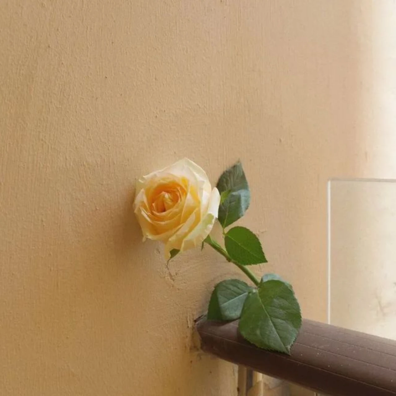 Alloy Center Gearbo…