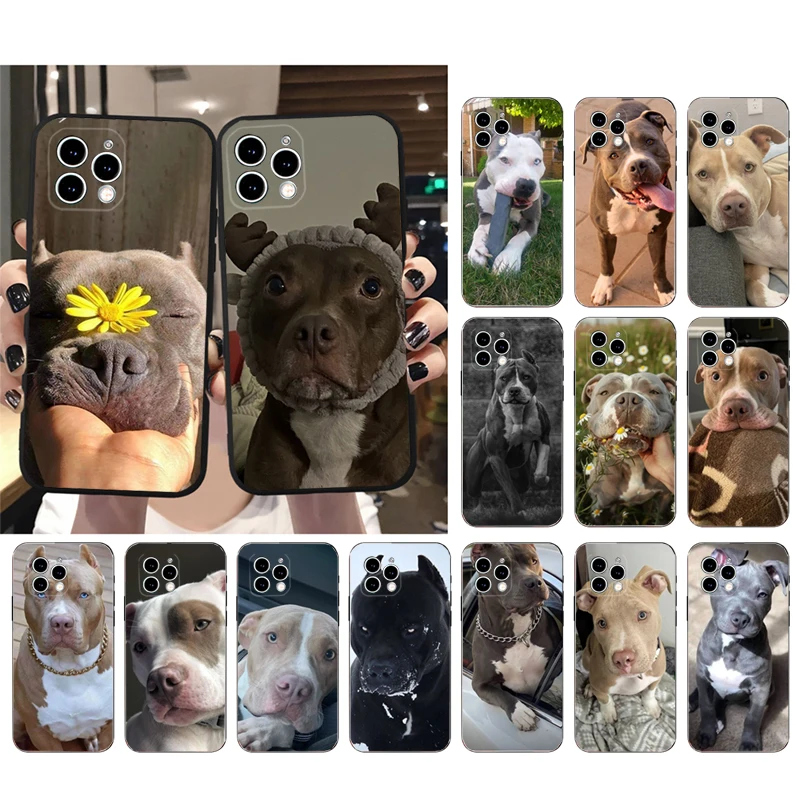 

Phone Case Carcasa Funda For iPhone 17 Pro Max 17 Air 16 15 14 13 Pro Max 15 16 Pro 15Plus Pitbull Terrier Dog