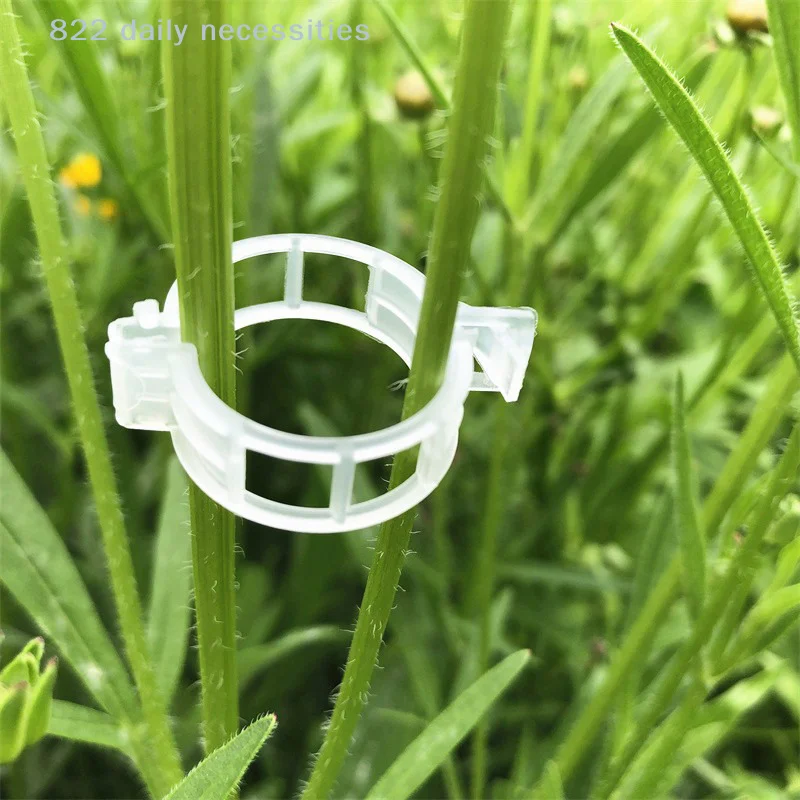 100pcs Plastic Plant Clips For Climbing Plants Clear Plant Fixing Clip Tomato Trellis Clips Plant Support Clips Vine Fixing Clip