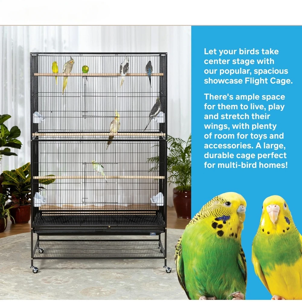 Agaporni Hammertone Black Parakeets Cage for Birds X-Large Cages-f- Houses and Fences Birdcage Accessories Bird Cage Parrot Hut