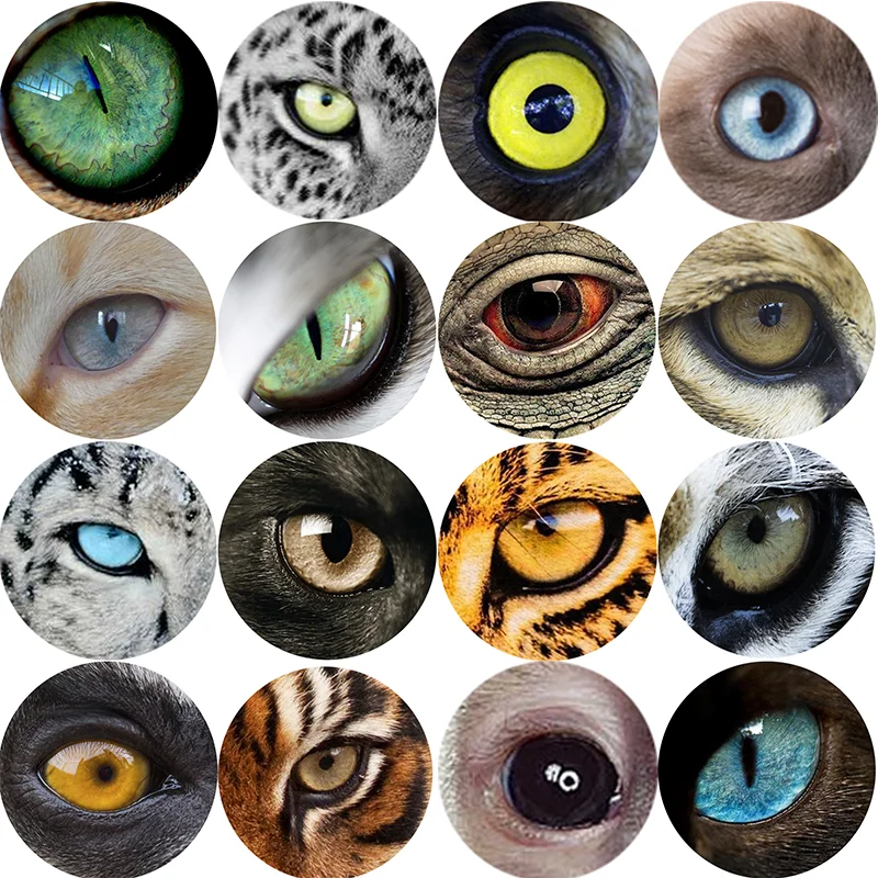 glass eyes cabochons Round  6mm 8mm 10mm 12mm   Round Dome Dragon Eye Dragon Cat Eye Toys DIY Jewelry Accessory  Pupil Eye Cameo